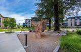 164 Healdsburg Avenue - Photo 13