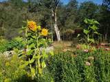 29890 Mendocino Pass Road - Photo 3
