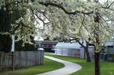 102 Royal Oak Court - Photo 49