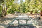 47 Cuernavaca Drive - Photo 20