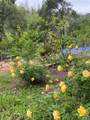 11641 Hwy 128 - Photo 47