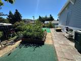 15 Constance Drive - Photo 29