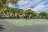 115 Eucalyptus Knoll Street - Photo 32