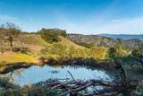 34201 Highway 128 Highway - Photo 40