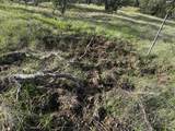 25156 State Hwy 20 Highway - Photo 20
