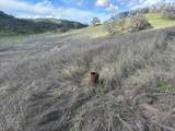 25156 State Hwy 20 Highway - Photo 21