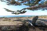 35411 Fly Cloud Road - Photo 19