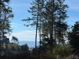 35411 Fly Cloud Road - Photo 3