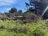 35411 Fly Cloud Road - Photo 5