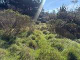 35411 Fly Cloud Road - Photo 6