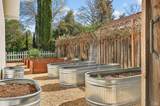 2543 Pinot Way - Photo 57