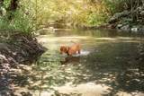 1500 Old Cazadero Road - Photo 42