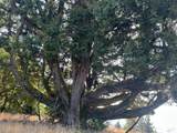 39000 Crispin Road - Photo 14
