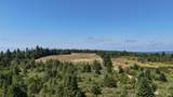 39000 Crispin Road - Photo 20