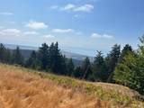 39000 Crispin Road - Photo 29
