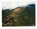 39000 Crispin Road - Photo 31