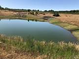 39000 Crispin Road - Photo 8