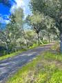 81 Pixy Place - Photo 48