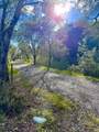 81 Pixy Place - Photo 49