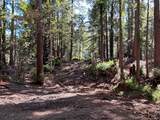 39700 Eureka Hill Road - Photo 10