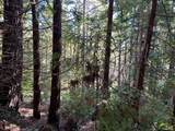 39700 Eureka Hill Road - Photo 8
