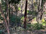 39700 Eureka Hill Road - Photo 10