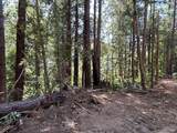 39700 Eureka Hill Road - Photo 4