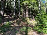 39700 Eureka Hill Road - Photo 7