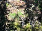 39700 Eureka Hill Road - Photo 8