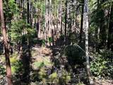 39700 Eureka Hill Road - Photo 9