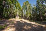 22096 Umland Circle - Photo 10