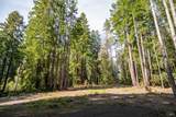 22096 Umland Circle - Photo 12