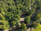 22096 Umland Circle - Photo 4