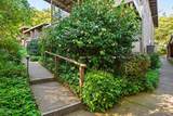1411 Casa Buena Drive - Photo 1