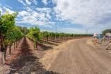 3340 Lichau Road - Photo 18