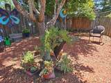 265 Spanish Flag Way - Photo 31