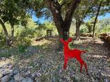 321 Dutch Henry Canyon Road - Photo 35
