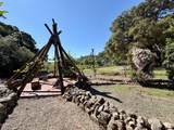 321 Dutch Henry Canyon Road - Photo 36