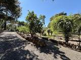 321 Dutch Henry Canyon Road - Photo 37