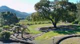 321 Dutch Henry Canyon Road - Photo 44