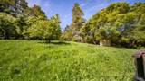 1 Alamo Way - Photo 24