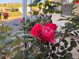 700 Gobbi Street - Photo 36