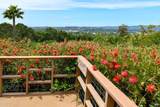 22 Monez Boulevard - Photo 19
