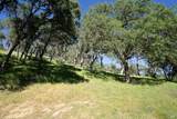 1486 Steele Canyon Road - Photo 36