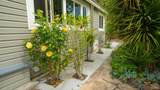 204 Barcelona Avenue - Photo 32