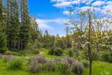 12076 Cloud Ridge Road - Photo 41