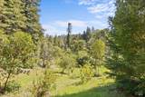12076 Cloud Ridge Road - Photo 69