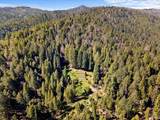 12076 Cloud Ridge Road - Photo 71