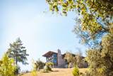 4125 Wallace Road - Photo 3