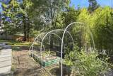 10 Pedrini Way - Photo 31